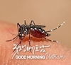 HCMC은 뎅기열, 홍역, 수족구 비율 하락