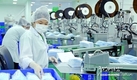 베트남, 안면 마스크 수출 급증