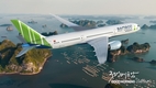 밤부항공 한국 운항 정지
