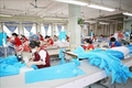 베트남 회사들, 의료품 수출 적극 장려