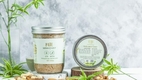 민차이 파테 중독: 하노이 당국은 민차이 pâté 독성에 대한 검사를 명령했다.
