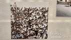[사진전시회] 1967년-1975년 독일인의 눈으로 본 하노이
