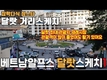 [정스타TV] 베트남 최대휴양지 베트남의 알프스 달랏을 생생하게 스케치(1회)