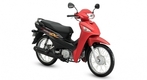 【혼다】Honda 베트남 판매량 계속 하락