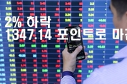 카지노