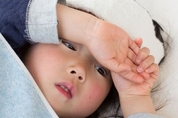카지노 룰렛 사이트