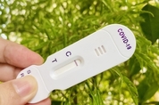 온라인 카지노 합법 사이트