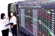 카지노 룰렛 사이트