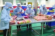 카지노 사이트 추천
