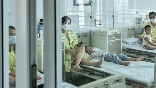 하노이에서 뎅기열 환자가 2~3배 증가한 것으로 나타났다