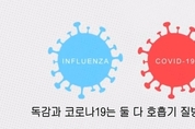 에볼루션 카지노 사이트