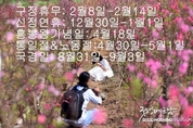 카지노 게임