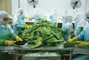 중국, 한국, 미국은 베트남의 가공 과일과 채소 수입을 늘이다.