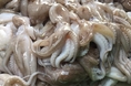 카지노 사이트 추천