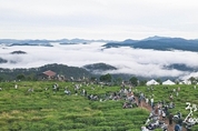 에볼루션 카지노 사이트