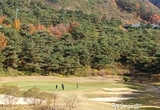 온라인 카지노