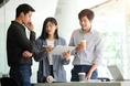 카지노 룰렛 사이트