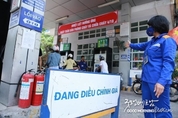 카지노 사이트 추천