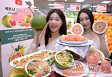 카지노 룰렛 사이트