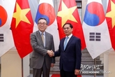 온라인 카지노
