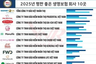 [인포그래픽] 2025년 평판이 좋은 보험 회사 10곳