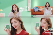 카지노 사이트 추천