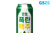 카지노사이트