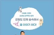 카지노 게임
