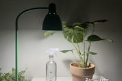 메이저사이트
