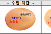 우리 카지노