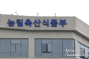 꽁 머니 카지노 3 만