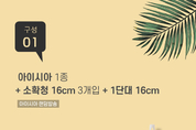 에볼루션 카지노 사이트