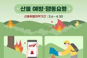 온라인 카지노 합법 사이트