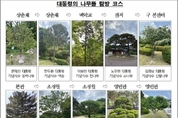 카지노 사이트 추천