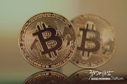카지노 룰렛 사이트