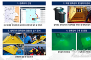 카지노 룰렛 사이트
