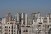 에볼루션 카지노 사이트