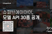 카지노 사이트 추천