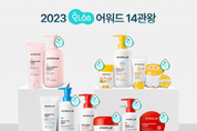온라인 카지노 합법 사이트