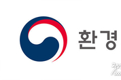 카지노 게임