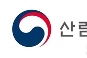 카지노
