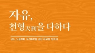 에볼루션 카지노 사이트