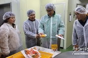 카지노사이트