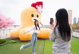 온라인 카지노