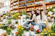 카지노 룰렛 사이트