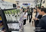 카지노사이트