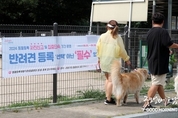 온라인 카지노 합법 사이트