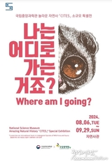 카지노 게임