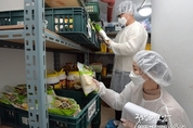 메이저사이트