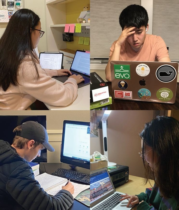 카지노 룰렛 사이트